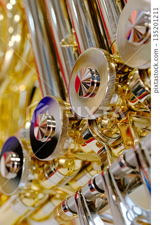 Generic valved brass musical instrument Generic valved brass musical instrument 135201211