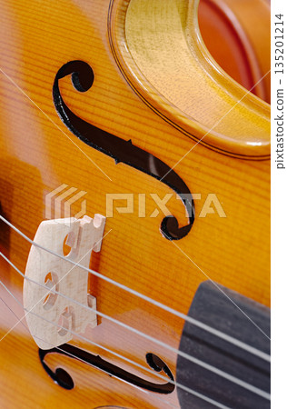 Violin, a classical stringed acoustic musical instrument 135201214