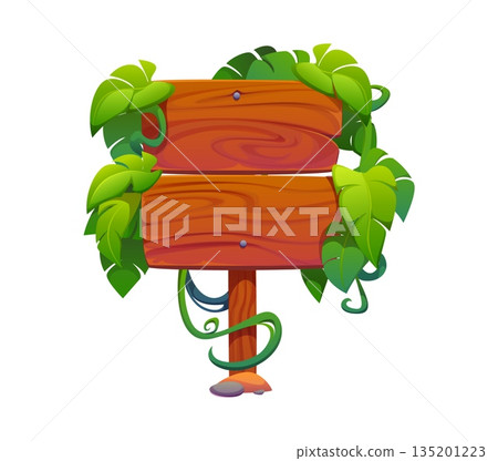 Cartoon wooden sign board decorated with tropical jungle leaves and lianas. Wood signboard with creeper plants, roots or thicket. Vector direction sign, banner on pole with hanging rainforest greenery 135201223