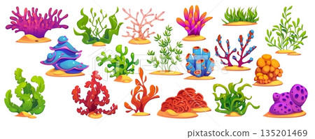 Underwater cartoon seaweed algae and coral reefs, vector sea and ocean water plants. Red and green aquarium flora and stony corals set with kelp, anemone and diploria, laminaria and rhodymenia algae 135201469