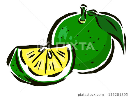 Sudachi (citrus fruit) with leaves and cut into wedges - hand-drawn brush stroke illustration Sudachi (citrus fruit) with leaves and cut into wedges - hand-drawn brush stroke illustration 135201895