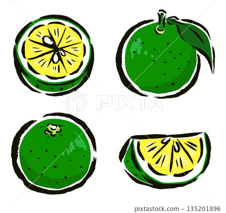 Sudachi (citrus fruit) with leaves, cut into wedges, and cut in half - hand-drawn brush stroke illustration 135201896