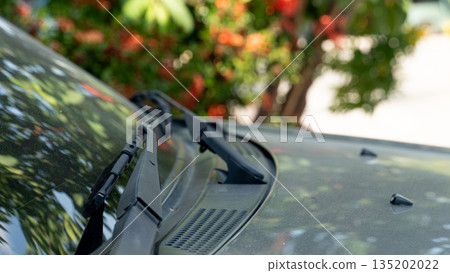 Close up of car windshield wipers on hood. Blurred green leaves and red flowers nature background. Vehicle detail concept at day time. 135202022
