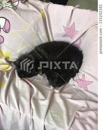 Adorable cat with soft, fluffy fur and bright, curious eyes. A symbol of elegance and purity, perfect for pet lovers and feline enthusiasts. Playful, gentle, and irresistibly cute! 135202381