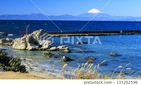 Mount Fuji seen from Koiso-no-hana Mount Fuji seen from Koiso-no-hana 135202596