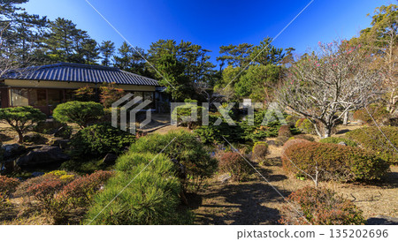 葉山潮騷公園的冬天 135202696