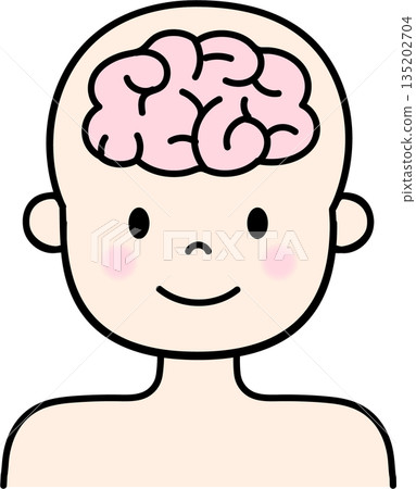 人類大腦的插圖 人類大腦的插圖 135202704