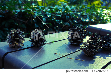 Pine cones on a bench 135202863
