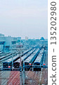 Trains Parked in a Railway Depot Under an Overcast Sky 135202980
