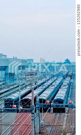 Trains Parked in a Railway Depot Under an Overcast Sky 135202980