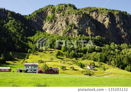 Lush countryside along the Hardangerfjord coast 135203132