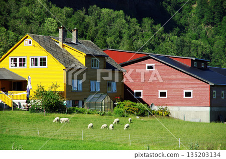 哈當厄爾峽灣鬱鬱蔥蔥的鄉村景色 哈當厄爾峽灣鬱鬱蔥蔥的鄉村景色 135203134