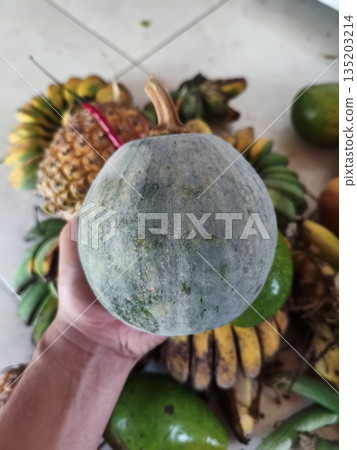 pumpkin in left hand pumpkin in left hand 135203214