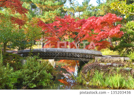 Autumn leaves of the Tenchoin 135203436