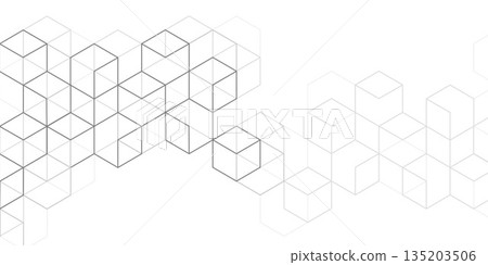 White background from cubes and lines. Abstract architecture. Linear geometric drawing. Vector illustration. White background from cubes and lines. Abstract architecture. Linear geometric drawing. Vector illustration. 135203506