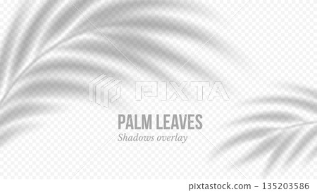 Palm Leaves Realistic Blurred Shadows Overlay Palm Leaves Realistic Blurred Shadows Overlay 135203586
