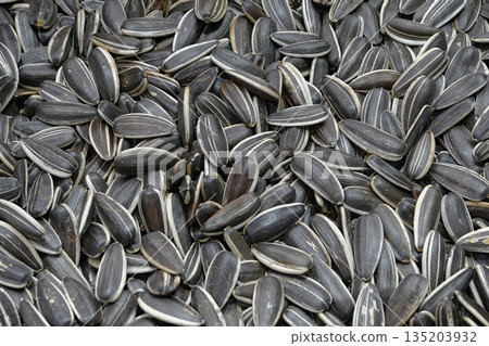 Dried sunflower seeds 135203932