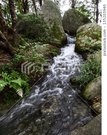琵琶湖文化公園山澗(日落花園) 琵琶湖文化公園山澗(日落花園) 135203940
