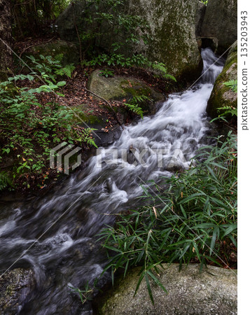 琵琶湖文化公園山澗（日落花園） 135203943