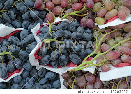 Bunches of grapes of different varieties Bunches of grapes of different varieties 135203952