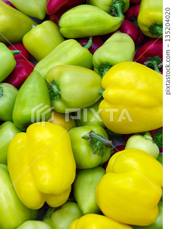 Red, green and yellow sweet peppers 135204020