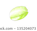 馬鈴薯水彩插圖 135204073