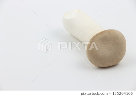 新鮮的杏鮑菇,秋季的代表性味道 新鮮的杏鮑菇,秋季的代表性味道 135204106