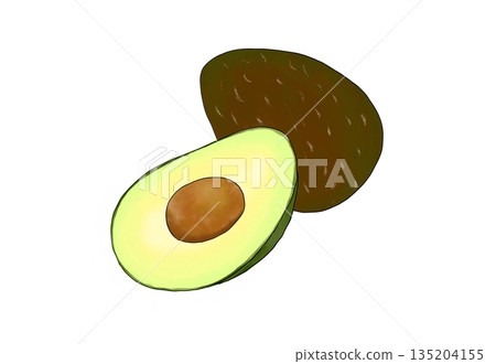 Watercolor illustration of avocado Watercolor illustration of avocado 135204155