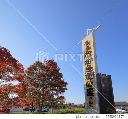 寶田之裡齋田路邊站，藍天秋葉。 135204171