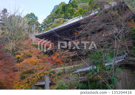 Autumn in the Maniden Hall of Shoshazan Engyo-ji Temple in Himeji, Hyogo Prefecture 135204416