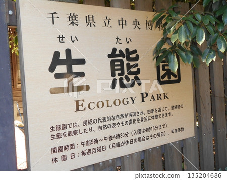 Ecological Garden No. 15 Ecological Garden No. 15 135204686