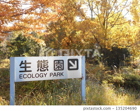 Ecological Garden No. 12 Ecological Garden No. 12 135204690