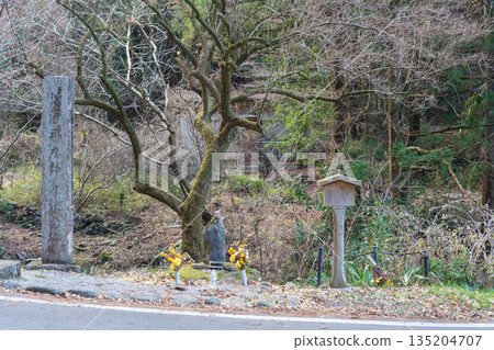 埼玉縣:澀澤平九郎(澀澤榮一的妹夫,後為養子)自殺地點/小菅町 埼玉縣:澀澤平九郎(澀澤榮一的妹夫,後為養子)自殺地點/小菅町 135204707