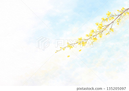 絢麗的春季連翹花插畫背景螢幕 135205097