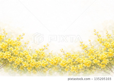 Gorgeous spring forsythia flower illustration background screen 135205103