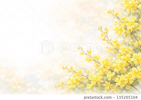 Gorgeous spring forsythia flower illustration background screen 135205104