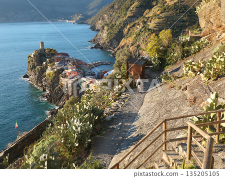 View of Vernazza, town in Cinque Terre, from mountain. Hiking, walking trail. Nature and sea, traditional buildings of Liguria, Italy. Architecture protected by UNESCO. Background for design.  135205105