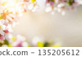 Delicate spring blossom with soft sunlight as a natural frame for tranquil background. Floral bloom for a romantic Springtime concept. 135205612