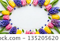Colorful spring flowers arranged in a circular frame on a white background with copy space for text. Flat lay for greeting card, postcard. 135205620