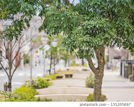 Water-friendly green path for Hongo Water-friendly green path for Hongo 135205697