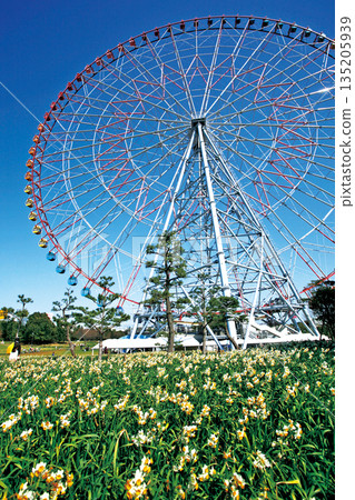 Kasai Rinkai Park "large ferris wheel with diamonds and flowers" Kasai Rinkai Park "large ferris wheel with diamonds and flowers" 135205939