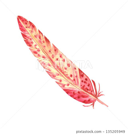 Bright red and yellow long speckled bird feather hand drawn with watercolor on isolated background, simple feather clip art for decorating North American Indian amulets, talismans and dreamcatchers Bright red and yellow long speckled bird feather hand drawn with watercolor on isolated background, simple feather clip art for decorating North American Indian amulets, talismans and dreamcatchers 135205949