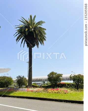 A tropical landscape with a phoenix soaring against the blue sky and colorful flowerbeds A tropical landscape with a phoenix soaring against the blue sky and colorful flowerbeds 135205988