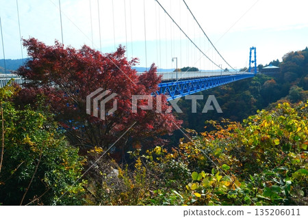秋天Ryujin大懸索橋 秋天Ryujin大懸索橋 135206011