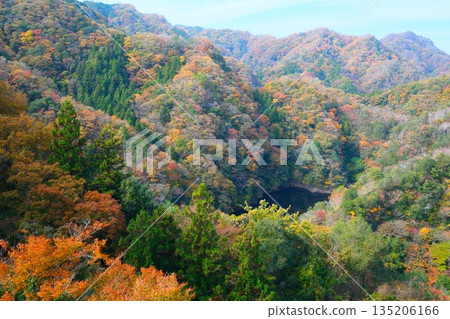 Autumn Ryujin Large Suspension Bridge Autumn Ryujin Large Suspension Bridge 135206166