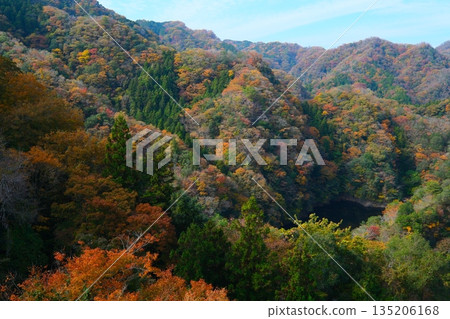 秋天Ryujin大懸索橋 秋天Ryujin大懸索橋 135206168