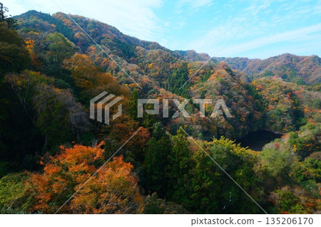 秋天Ryujin大懸索橋 秋天Ryujin大懸索橋 135206170