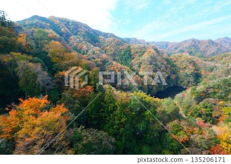 秋天Ryujin大懸索橋 秋天Ryujin大懸索橋 135206171