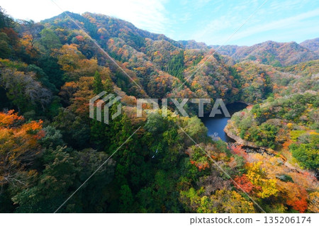 秋天Ryujin大懸索橋 135206174