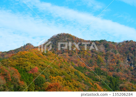 Autumn Ryujin Large Suspension Bridge Autumn Ryujin Large Suspension Bridge 135206284